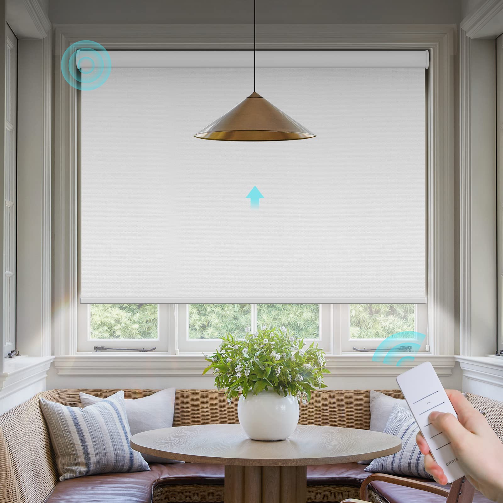 Motorized Blinds with Remote